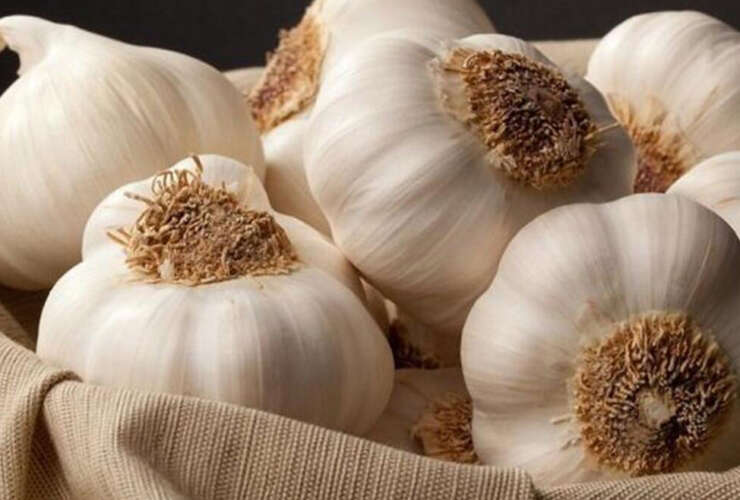 Sarımsak | Uluslararası Bilimsel Çalışmalar