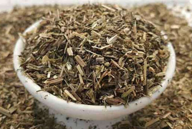 Yoğurt Otu | Uluslararası Bilimsel Çalışmalar